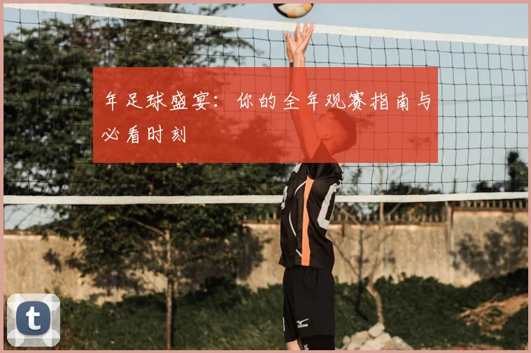 年足球盛宴:你的全年观赛指南与必看时刻