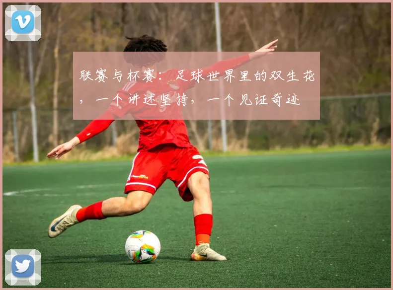 联赛与杯赛：足球世界里的双生花，一个讲述坚持，一个见证奇迹